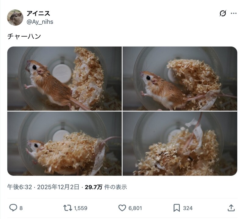 アイニスさんの投稿