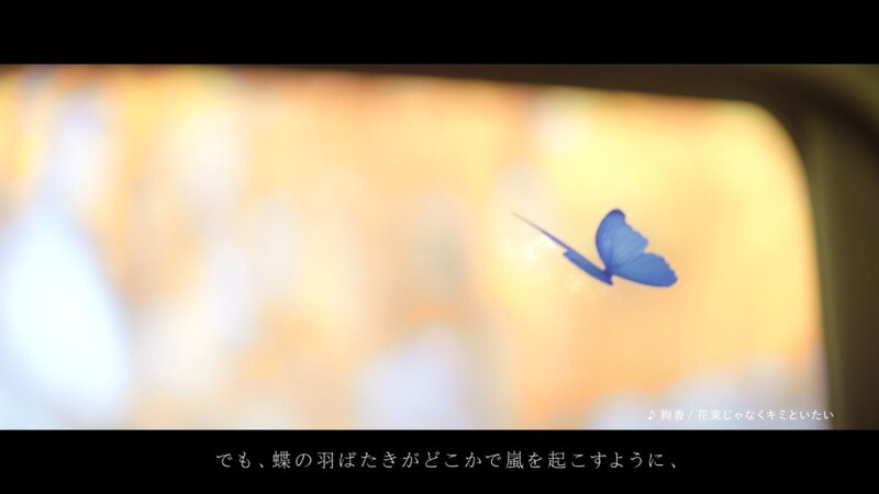 マリモホールディングスのコーポレートカラーであるブルーの蝶が登場