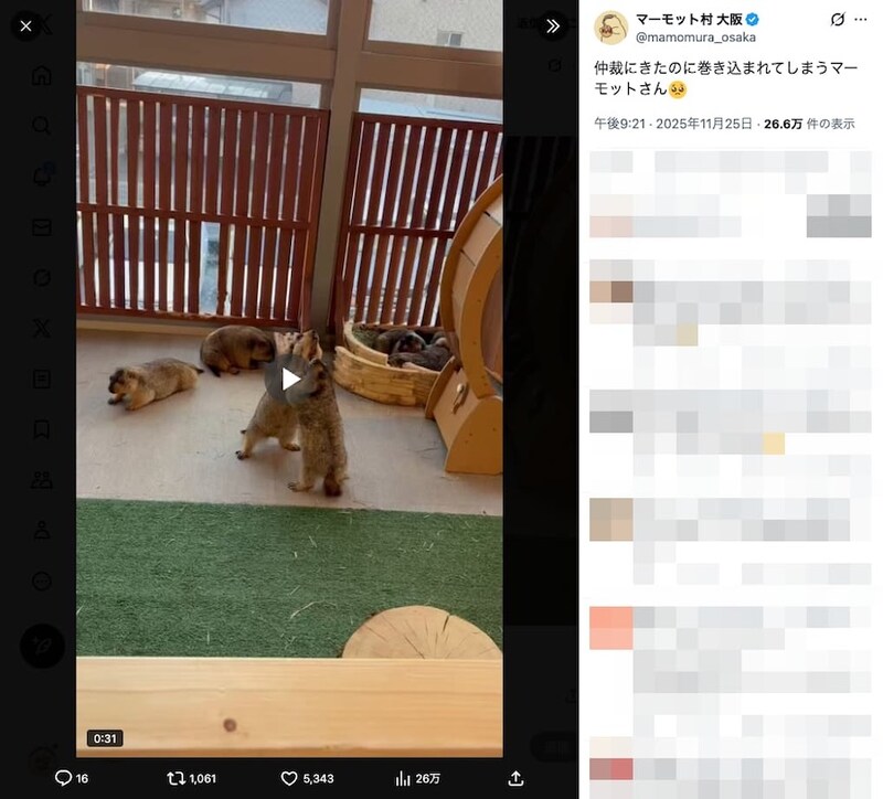 「マーモット村 大阪店」の投稿