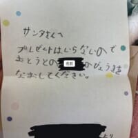 「おとうとのびょうきをなおして」7歳の兄がサンタに託した切実な願い