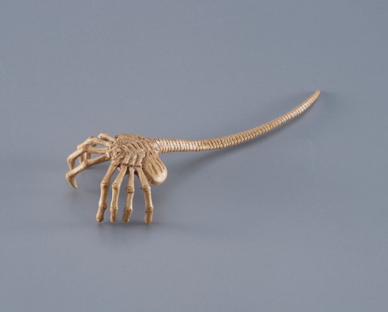 フェイスハガーは取り外し可能