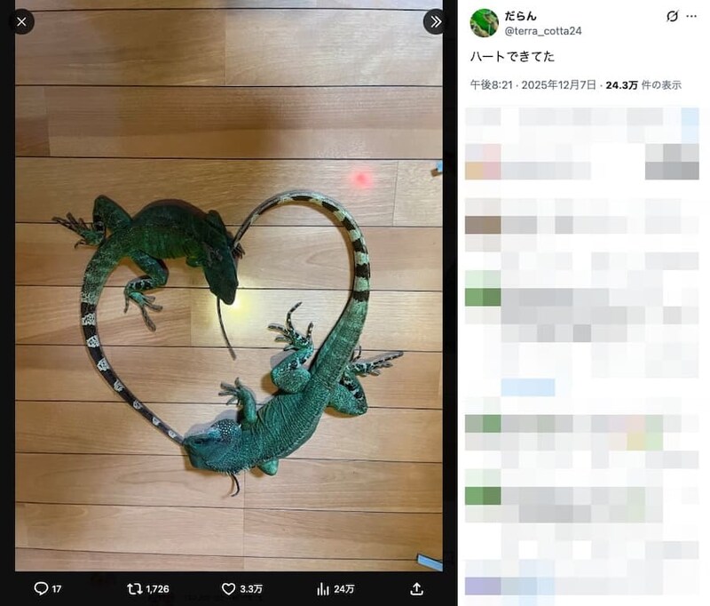 だらんさんの投稿