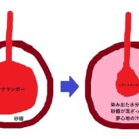 「シナシナランボ」から「夢心地の汁」が……？ 金精軒のチェリーボンボン解説図がゆるくてわかりやすい