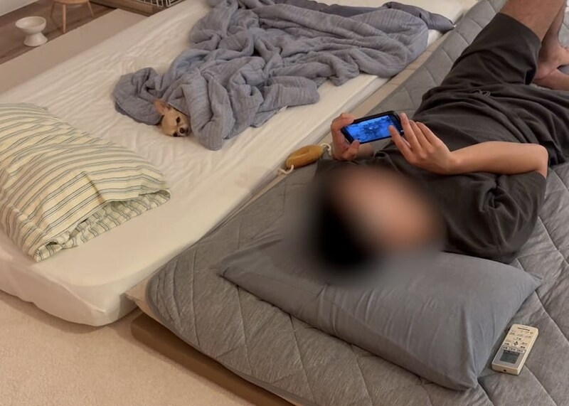 別々に寝るパパとニコちゃん