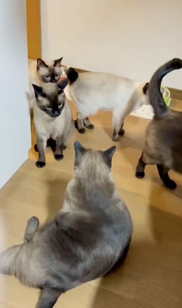 野次馬ぞろぞろ