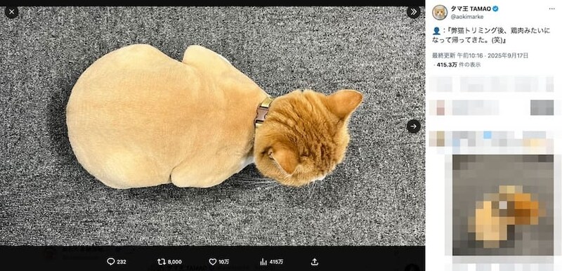 “鳥”ミング？