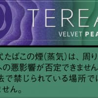 「TEREA」シリーズに新銘柄、テリア ベルベット パール登場　10月6日から順次発売