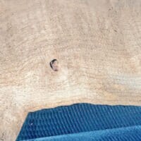 見える見える……木目に現れた“ひろゆき”に本人も反応「気付いてしまいましたか」