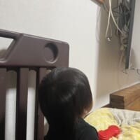 危険なテレビ裏に突撃する我が子　近寄らせないために「化け物」を仕掛けた結果