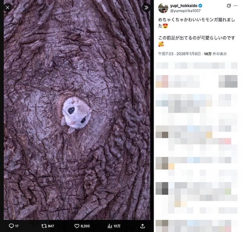 yupi_hokkaidoの投稿