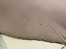 魚拓ならぬ「泣き拓」？イヤイヤ期の2歳児がヨギボーに残した跡に癒やされる人続出