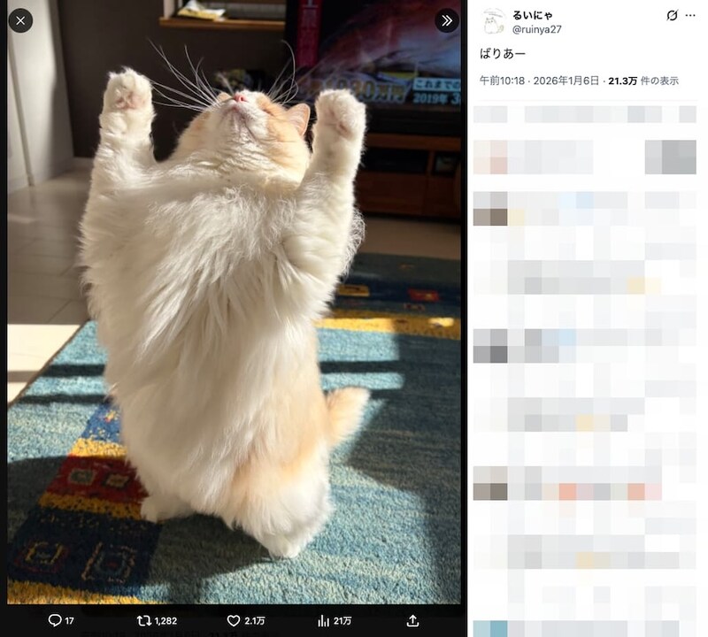 バリアを張るキオくん