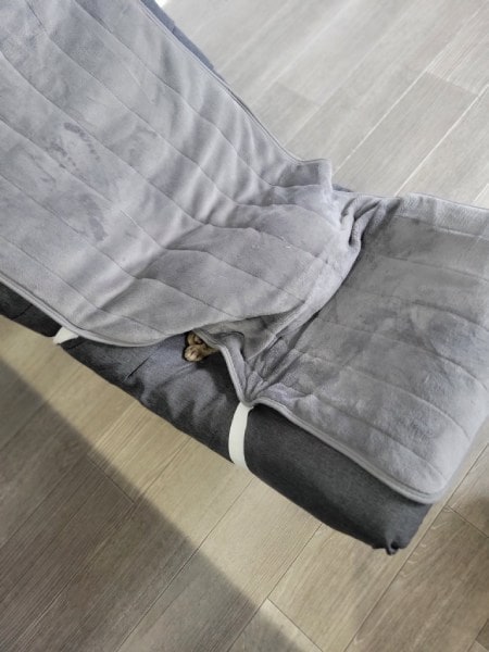 カバーの下に潜り込むおこめくん