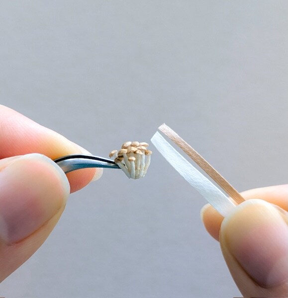 固めた糸で制作