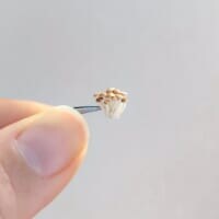 刺繍糸を固めたら「ぶなしめじ」になった　リアルすぎる立体作品が話題