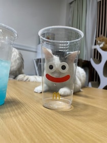 「猫スライム」があらわれた！マクドナルド×ドラクエのカップを使った顔ハメがかわいすぎる