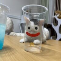 「猫スライム」があらわれた！マクドナルド×ドラクエのカップを使った顔ハメがかわいすぎる