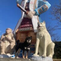 桃太郎のお供に2匹目の犬？像の前で凛々しいポーズを披露する柴犬さん