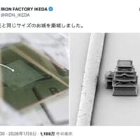 世界最小クラスのお城が現る　髪の毛サイズの「ナノ福山城」に騒然