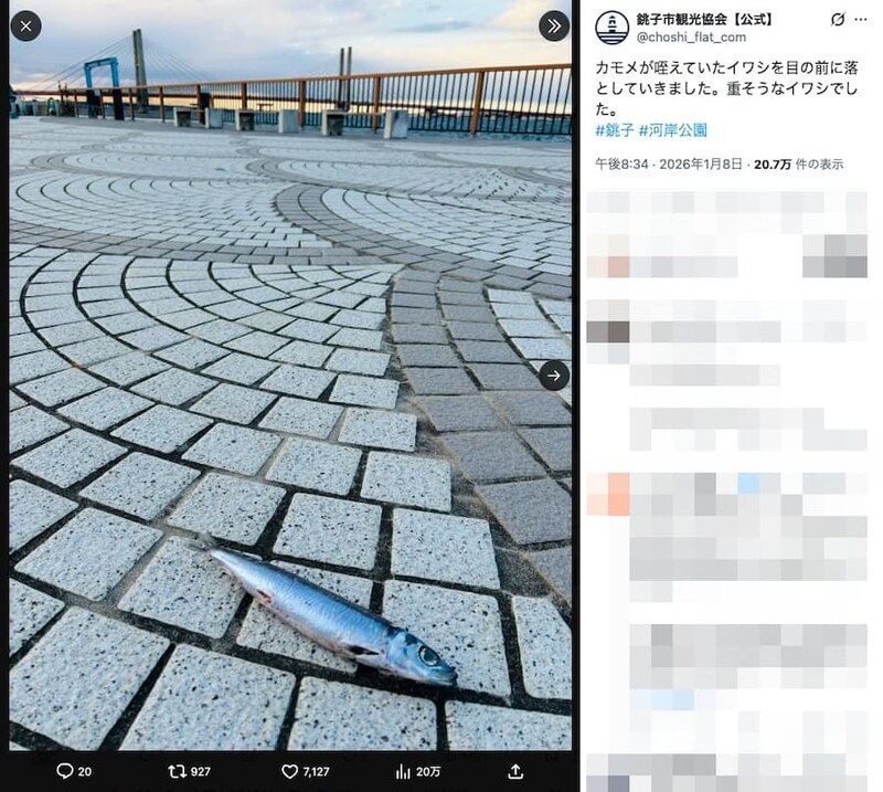 銚子市観光協会公式Xの投稿