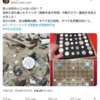 漂着物だけで朝鮮将棋の駒をコンプリート！6年の海辺散策がもたらした“前人未到の成果”
