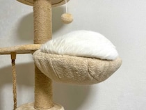 キャットタワーに巨大な餅？飼い主も「たぶん猫」と困惑する白猫の寝姿
