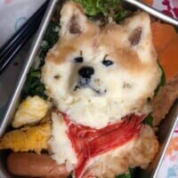 羊毛フェルト作家が作る「わんこキャラ弁」　リアルすぎてもはやアート