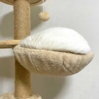 キャットタワーに巨大な餅？飼い主も「たぶん猫」と困惑する白猫の寝姿