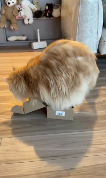 箱のサイズが小さすぎる