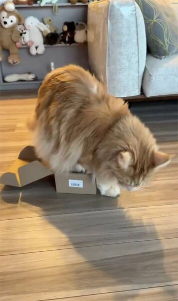 なかなか収まらない