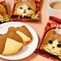 ねこねこ新作「にゃんともおいしいスコーン」2月2日発売　「はちわれ」模様がかわいい