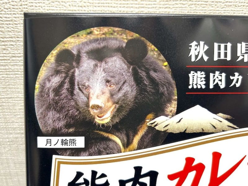 熊の顔