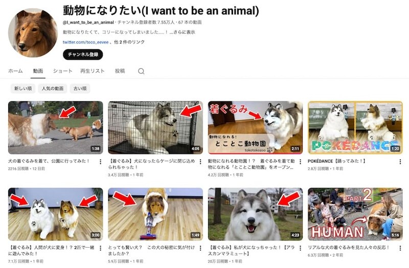 トコさんのYouTubeチャンネル