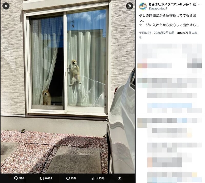 あさぽんさんの投稿
