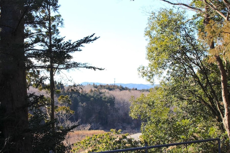 海渡神社裏手からの眺望