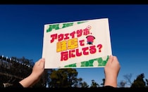 鹿児島発の熱狂が岐阜へ　Jリーグサポーター密着番組「アウェイサポ、岐阜でなにしてる？」始動