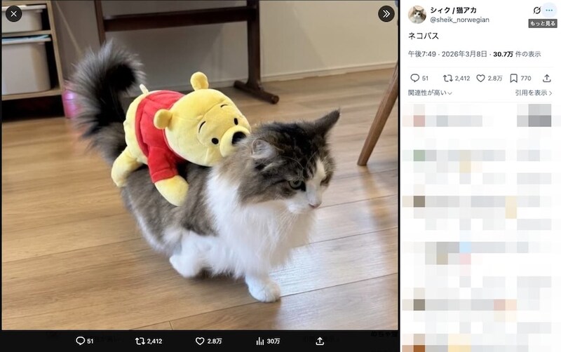 飼い主さんの投稿
