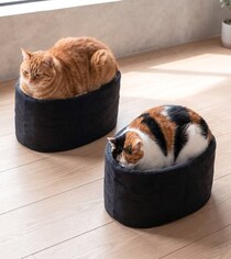 愛猫がお寿司に？軍艦巻き風ベッドに反響　商品化にも期待