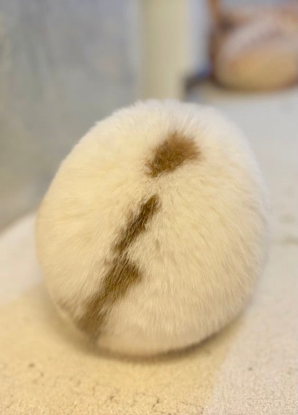 思わず包みたくなる球体フォルム うさぎのまんまる後ろ姿に注目集まる