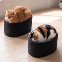 愛猫がお寿司に？軍艦巻き風ベッドに反響　商品化にも期待