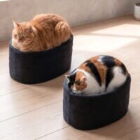 愛猫がお寿司に？軍艦巻き風ベッドに反響　商品化にも期待