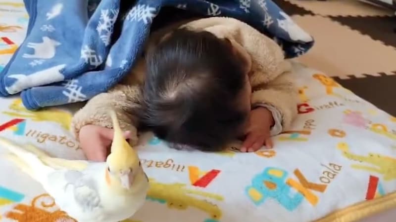 起きそうになると退散