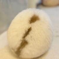 思わず包みたくなる球体フォルム　うさぎのまんまる後ろ姿に注目集まる