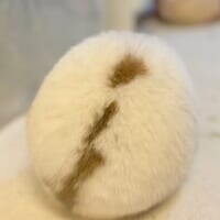 思わず包みたくなる球体フォルム　うさぎのまんまる後ろ姿に注目集まる