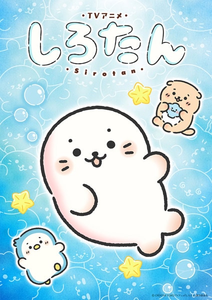 新TVアニメ「しろたん」
