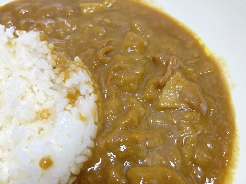 王道のカレー具材はなし