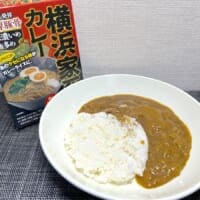 カレーなのに家系すぎる　ニンニク全振りの「横浜家系カレー」がヤバい
