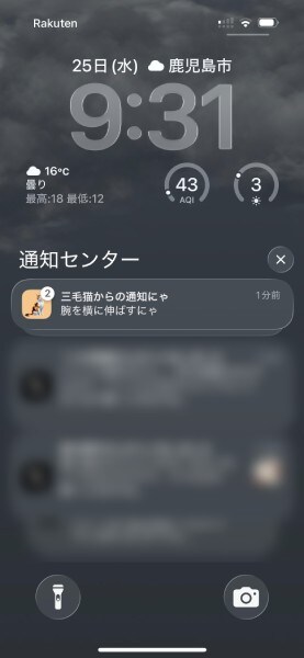 時間になると猫が通知