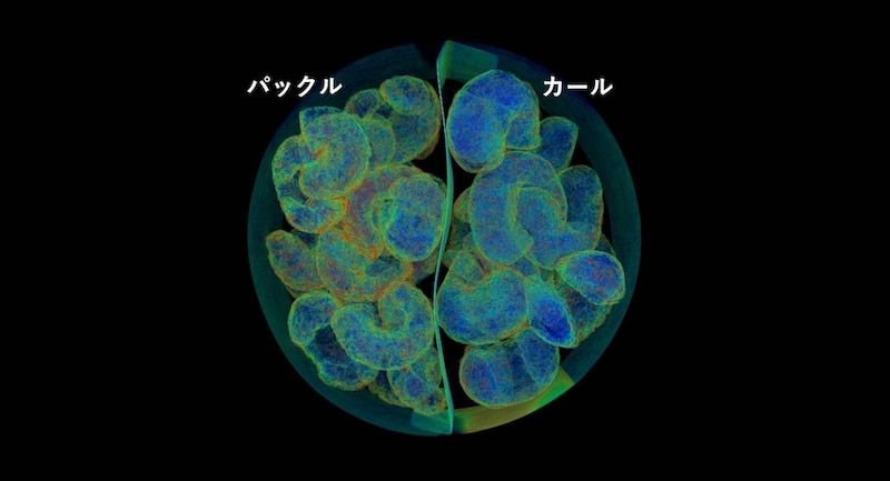 X線CTで比較