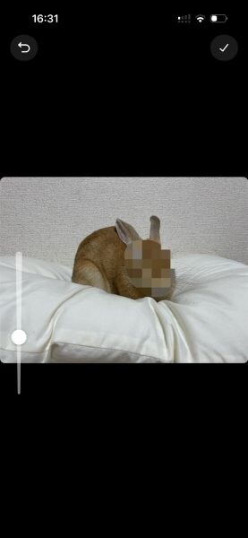 モザイク機能
